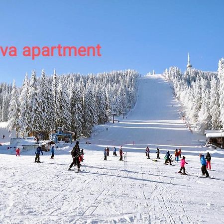 Viva 6 Apartment In Hotel Stenata Pamporovo Exterior photo